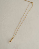 Horn Necklace