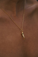 Horn Necklace