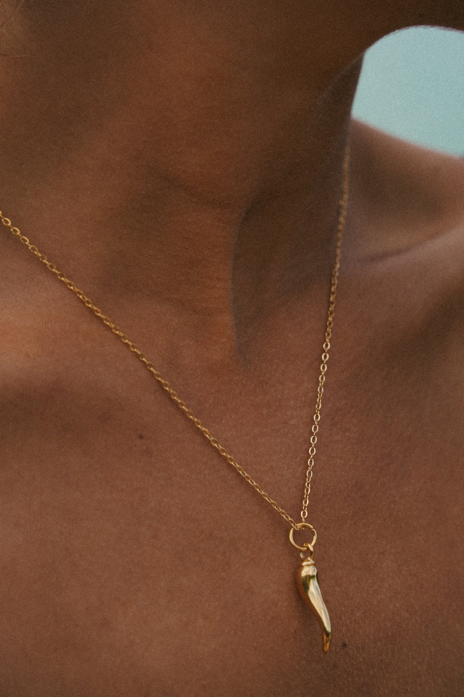 Horn Necklace